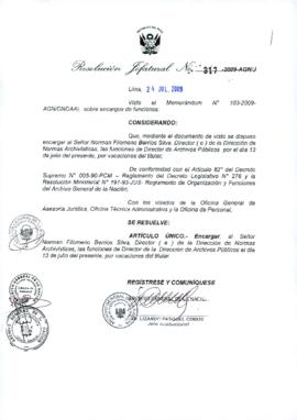 Resolución Jefatural N° 317-2009-AGN/J