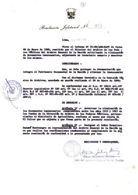 Resolución Jefatural N° 008-1988/AGN/J