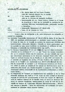 INFORME 198-91-AGN/OAJ