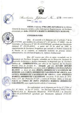 Resolución Jefatural N° 079-2002/AGN/J