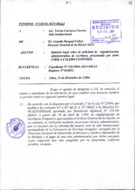 INFORME 310-2004-AGN-OGAJ