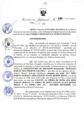 Resolución Jefatural N° 295-2002/AGN/J
