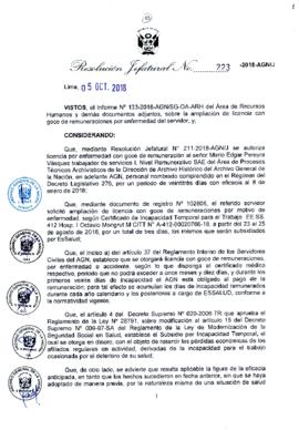 Resolución Jefatural N° 223-2018-AGN/J
