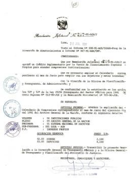 Resolución Jefatural N° 207-1991/AGN/J