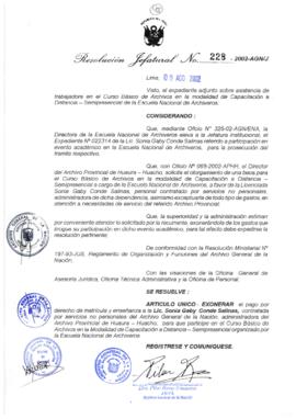 Resolución Jefatural N° 228-2002/AGN/J