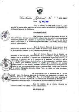 Resolución Jefatural N° 313-2008-AGN/J