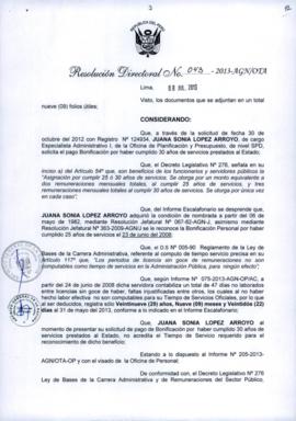 Resolución Directoral N° 043-2013-AGN/OTA
