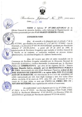 Resolución Jefatural N° 265-2002/AGN/J