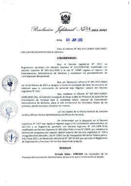 Resolución Jefatural N° 264-2013-AGN/J