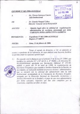 INFORME 065-2006-AGN/OGAJ