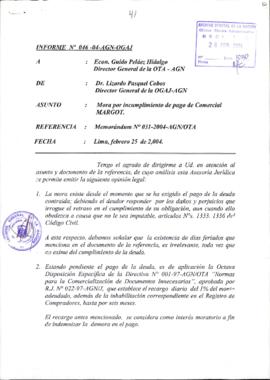 INFORME 050-2003-AGN-OGAJ