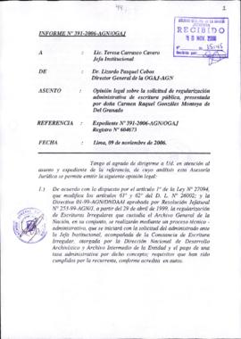 INFORME 391-2006-AGN/OGAJ