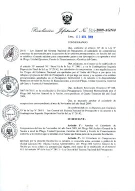 Resolución Jefatural N° 514-2009-AGN/J