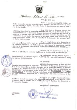 Resolución Jefatural N° 313-1991/AGN/J