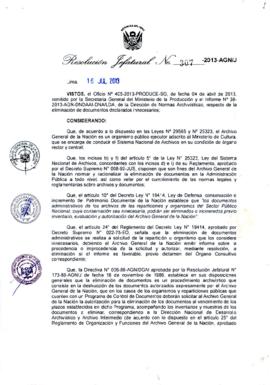 Resolución Jefatural N° 307-2013-AGN/J