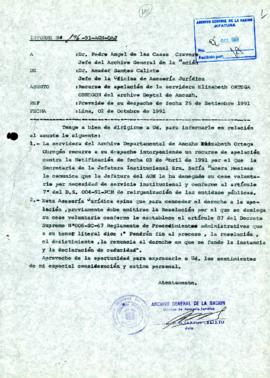INFORME 196-91-AGN/OAJ