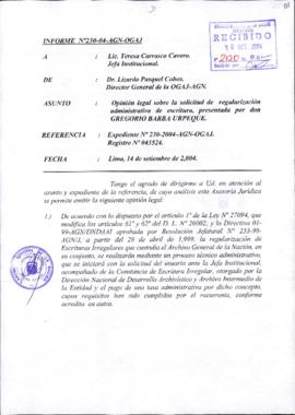INFORME 230-2004-AGN-OGAJ