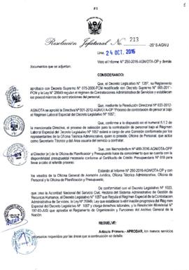 Resolución Jefatural N° 213-2016-AGN/J